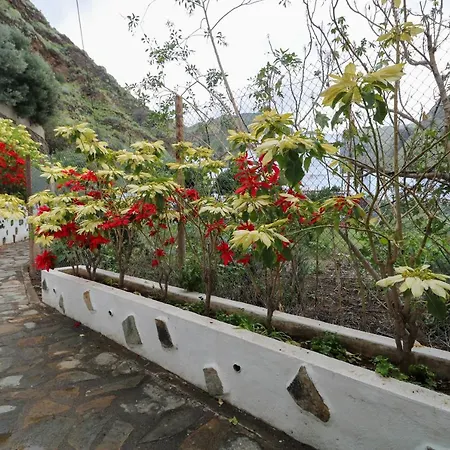 Valley Views In Agaete (Gran Canaria)